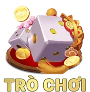 Hình ảnh người chơi tin cậy